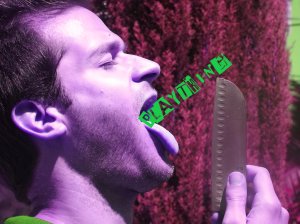 Plaything Knife Lick